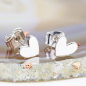 Shiny Heart Earrings In Silver