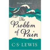 The Problem Of Pain