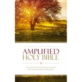 Amplified Holy Bible (Paperback)